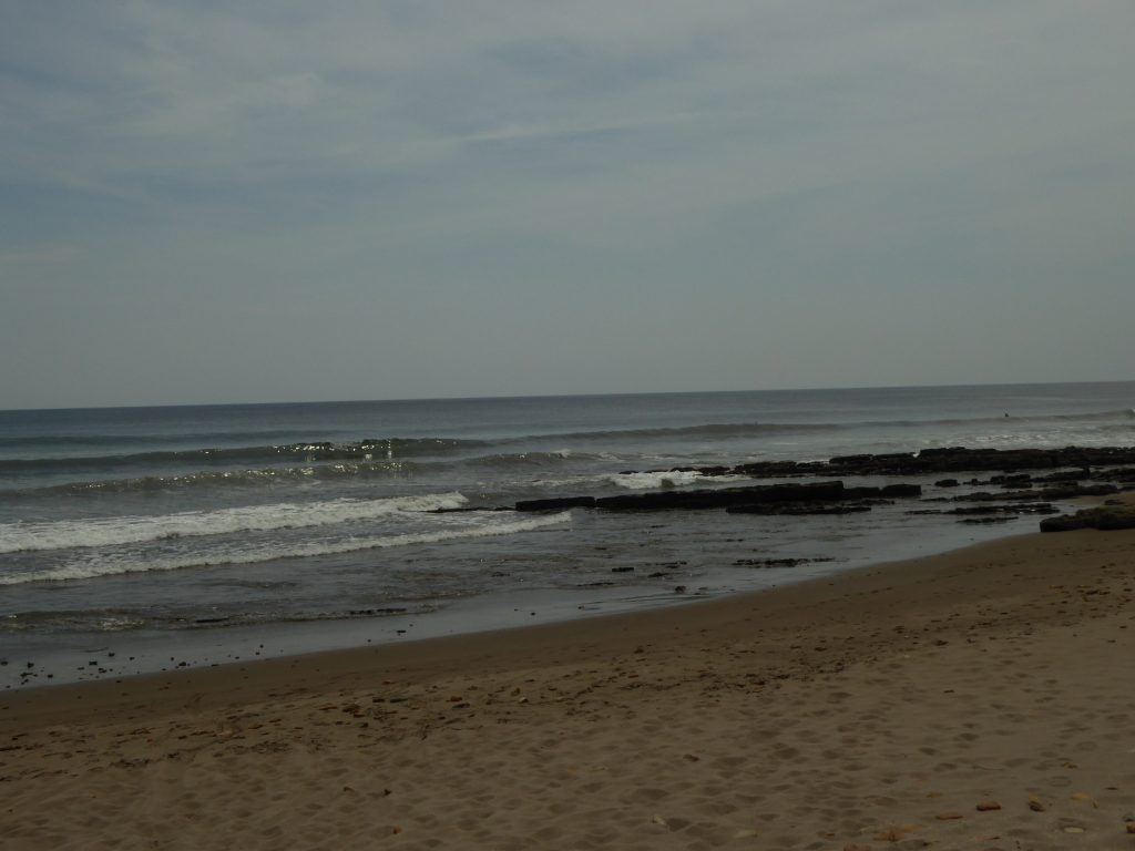 P1000240